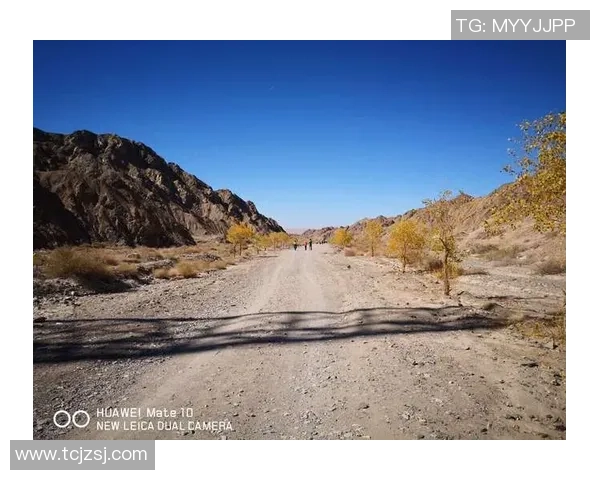 李秀英的和平精英之路：从新手到职业选手的成长与挑战